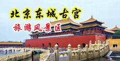 嗯啊欧美插中国北京-东城古宫旅游风景区